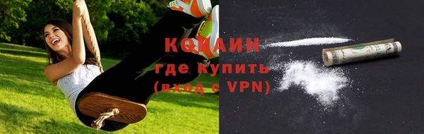 мяу мяу мука Иннополис