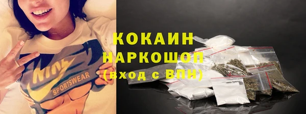 мяу мяу мука Иннополис