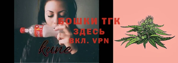 мяу мяу мука Иннополис