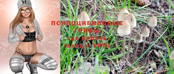 мяу мяу мука Иннополис
