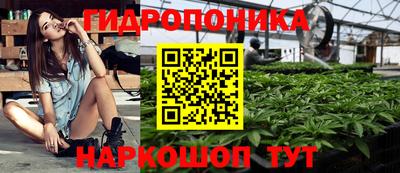 каннабис Кингисепп