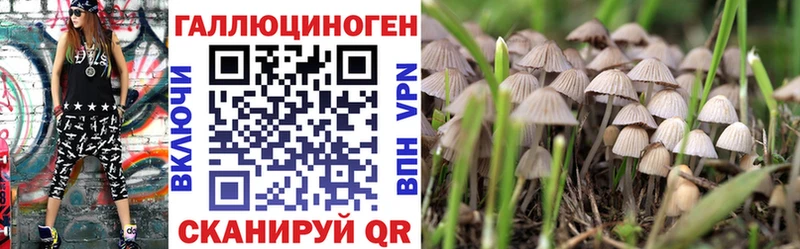 Псилоцибиновые грибы MAGIC MUSHROOMS Славгород