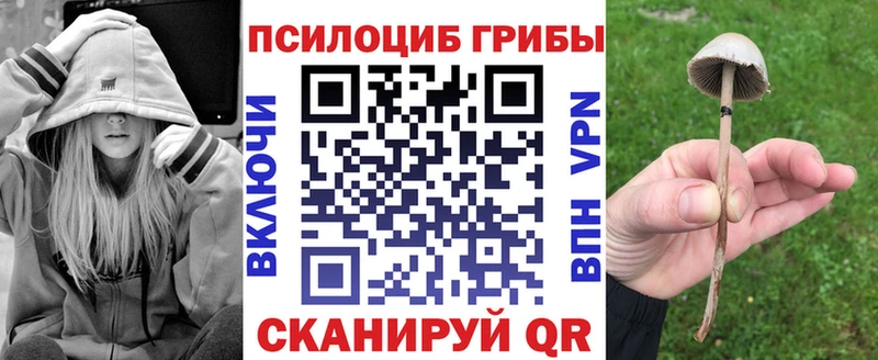 Псилоцибиновые грибы Magic Shrooms Славгород